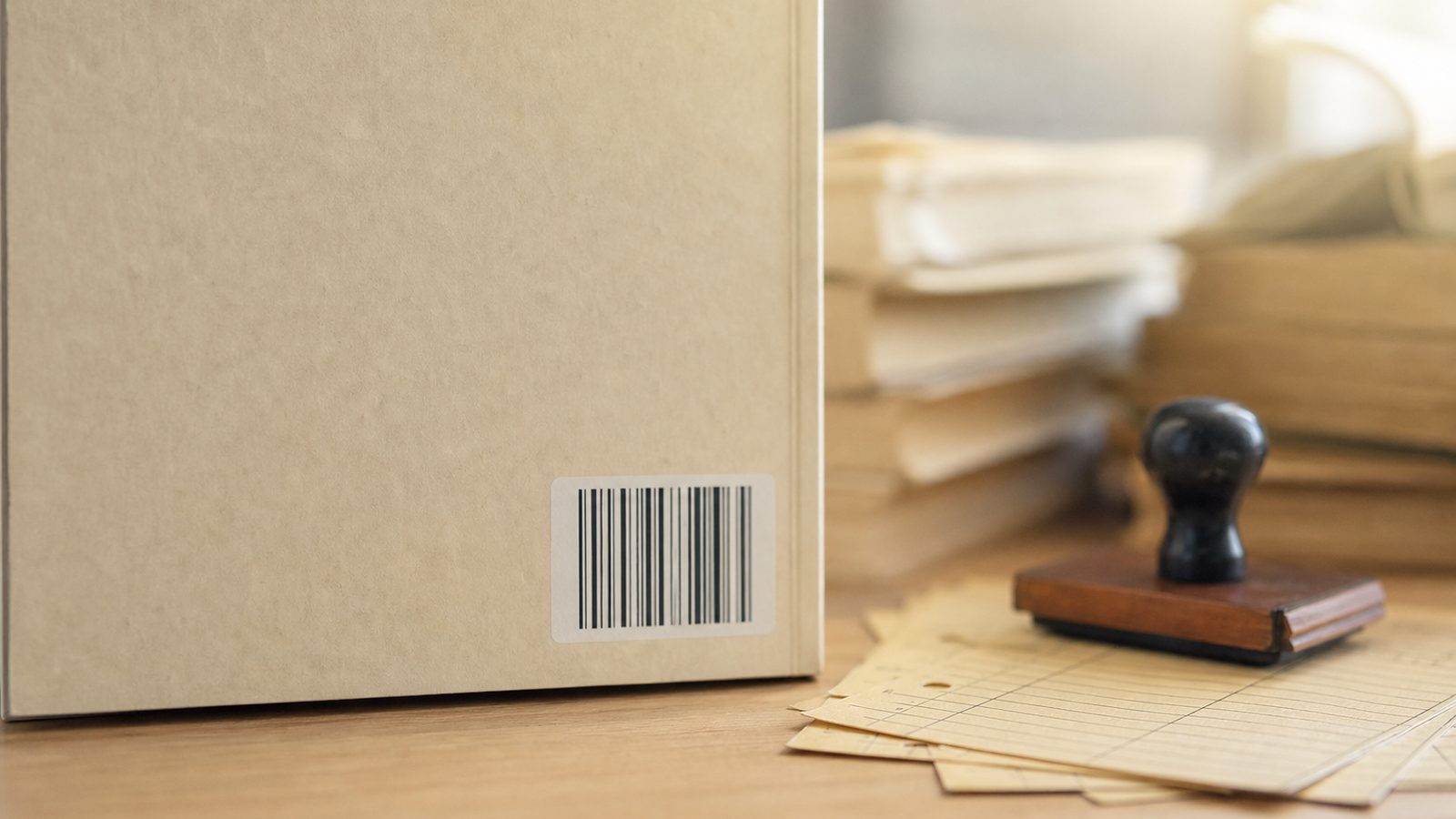Contracapa de livro com espaço do código de barras ao lado de fichas de biblioteca